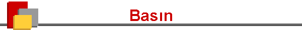 Bas�n