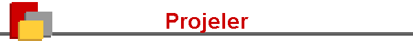 Projeler